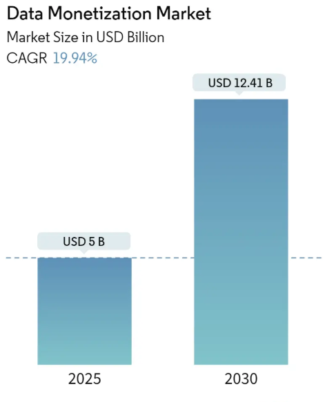 Data Monetization Market Size Data Monetization Market Summary